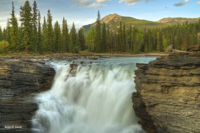 Athabasca Falls