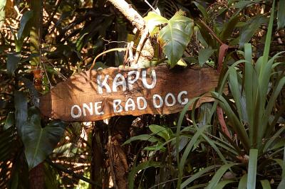 Hawaiian for Beware Of Dog