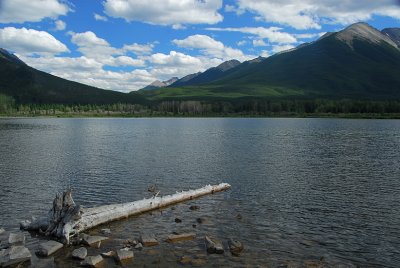 At The Vermilion Lakes