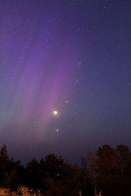IMG_1081.jpg