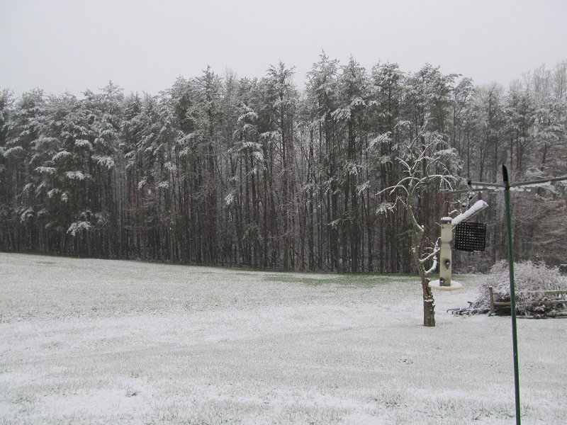 SURPRISE MARCH SNOW - EMPTY BIRD FEEDERS