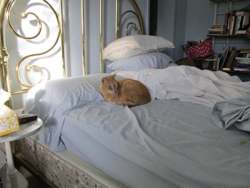 Time to get up?