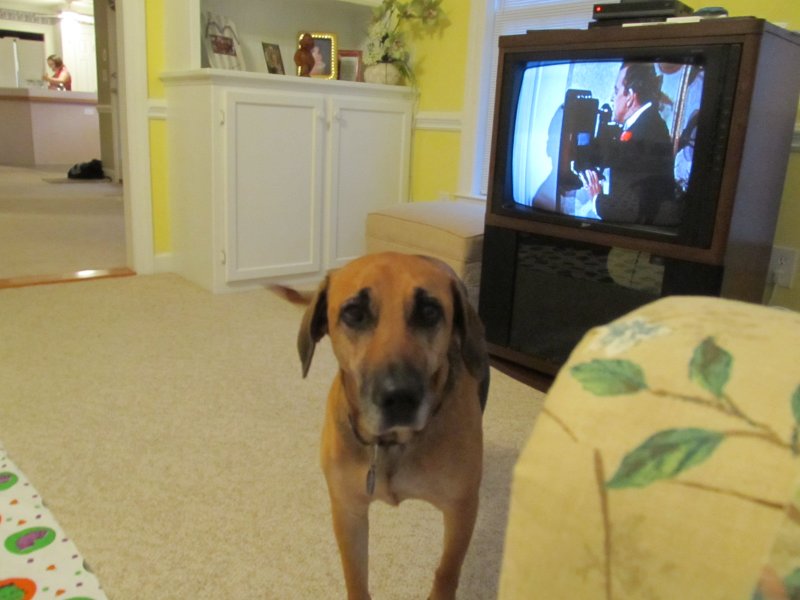 NEW HOUSE - ZOE IS HOSTESS