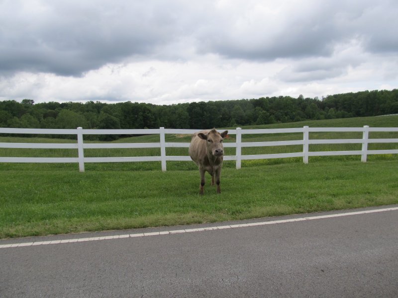 The clouds were low and dark & this guy looked more ominous