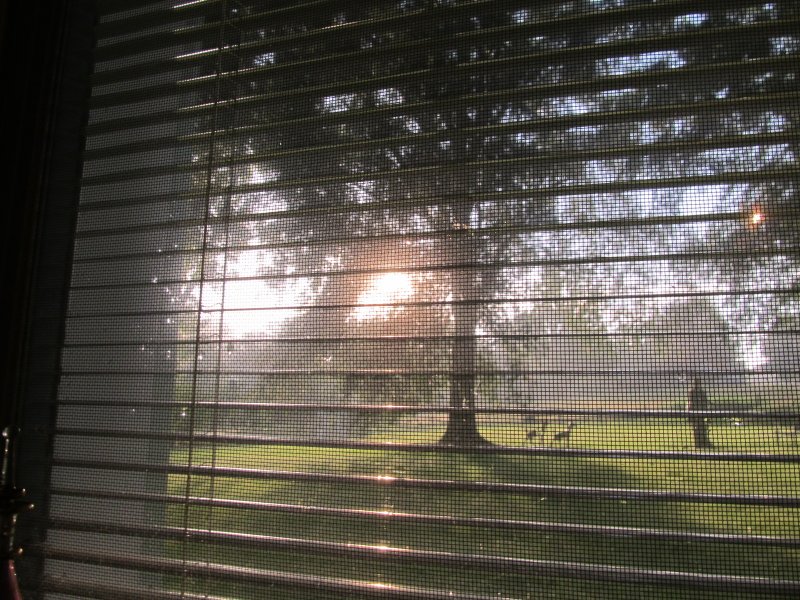 Light after the storm