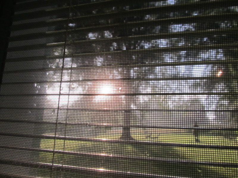   after the storms..blessings and beauty