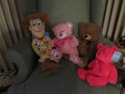Three Bears and Woody
