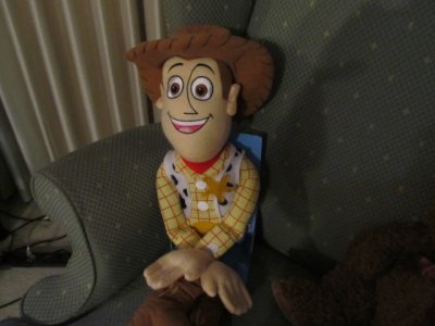 Woody 