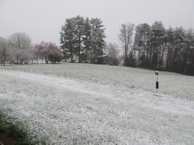 MARCH SNOW AND THE BLUE BIRD HOUSE