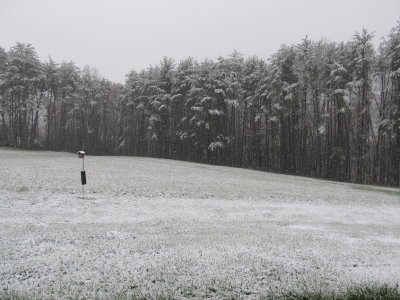 And the field was white - blue bird house