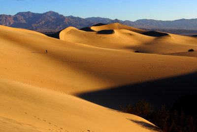 :: Death Valley 2008 ::