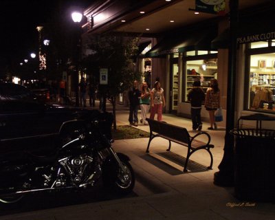 Bench on the Walk