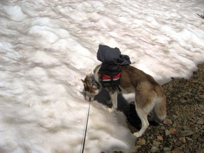 MMMM...Snow is tasty!