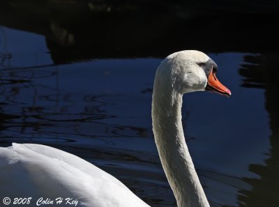 0C0J4430a.jpg