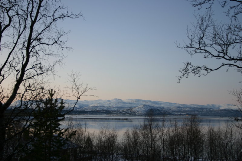 18 januar 2008