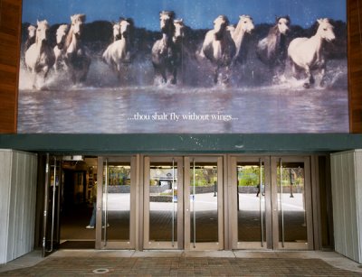 The Horse Park: The Entrance