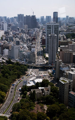 A View from Tokyo Tower