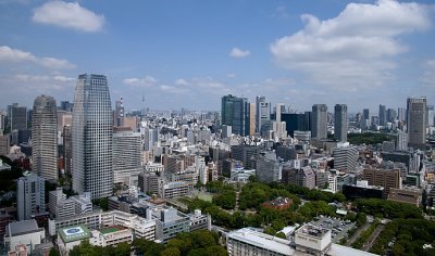 A View from Tokyo Tower