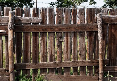 The Wood Fence