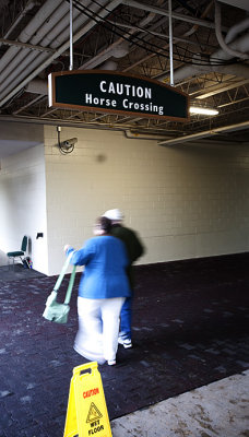 Horse Crossing