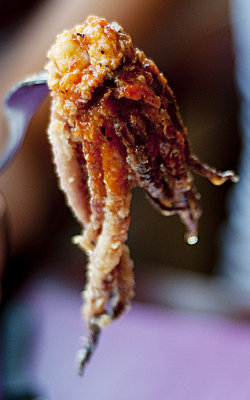 Fried Calamari