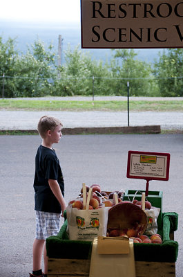 The Country Store