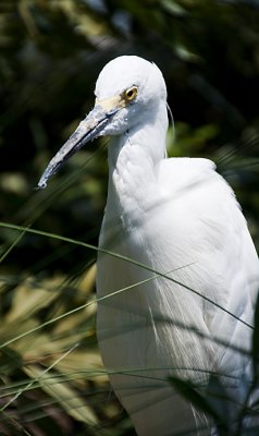 South Carolina Aquarium