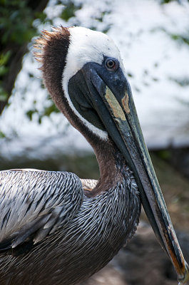 South Carolina Aquarium