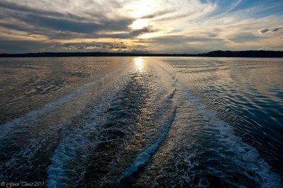 Ferry Ride-5958.jpg