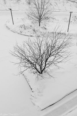 February 2011