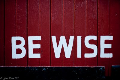 Be Wise-6495.jpg