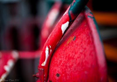 Red and Orange-6345.jpg