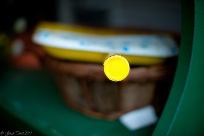 Yellow Dot-6341.jpg
