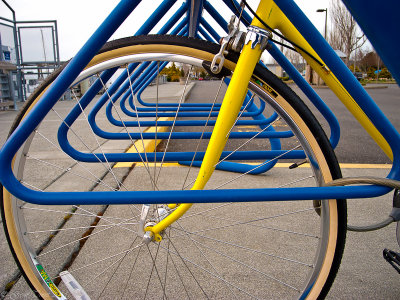 Yellow Bike-0671.jpg