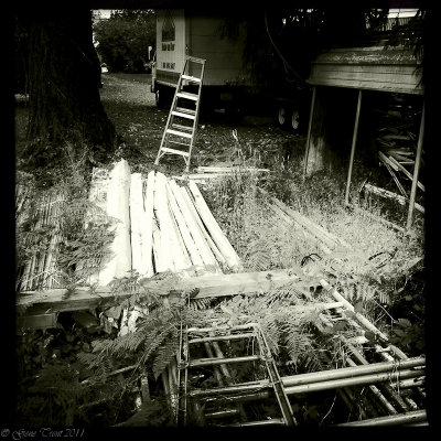 Ladder in the yard-413.jpg