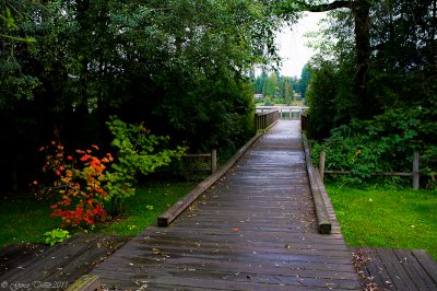 g4/06/823706/3/138900527.N2bWH8US.jpg