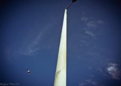 Lucky Shot-5790.jpg