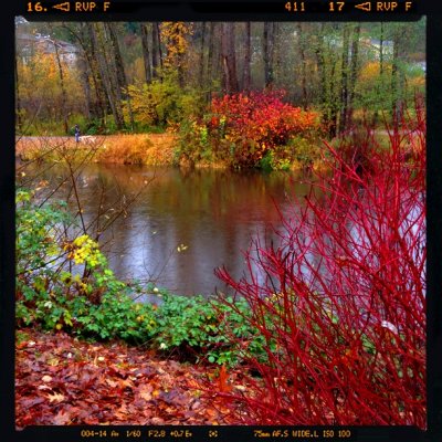 2011-11-23 12:20