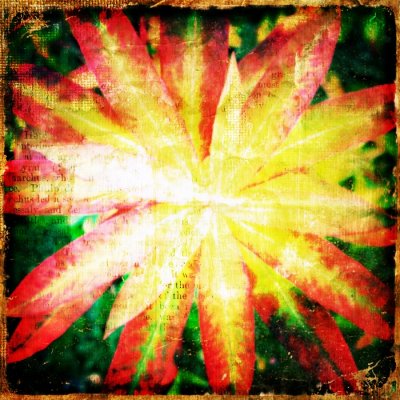 2011-11-24 21:40