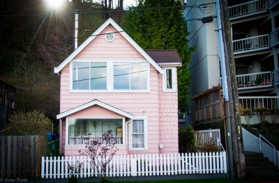 Pink House-3386.jpg