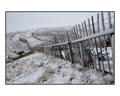 fence in snow