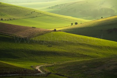 Light in the Valley