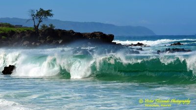 Waves of Waimea