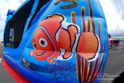 Nemo's Vision