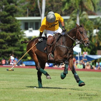Army Polo Hawaii
