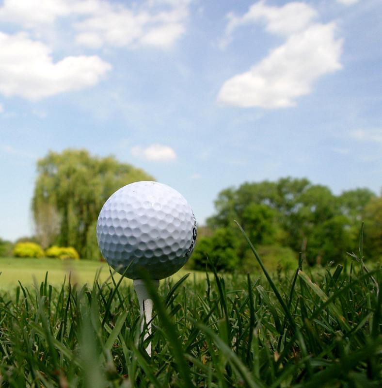<b>3rd Place</b><br>Fairway...curves to the right....<br>by Tajinder