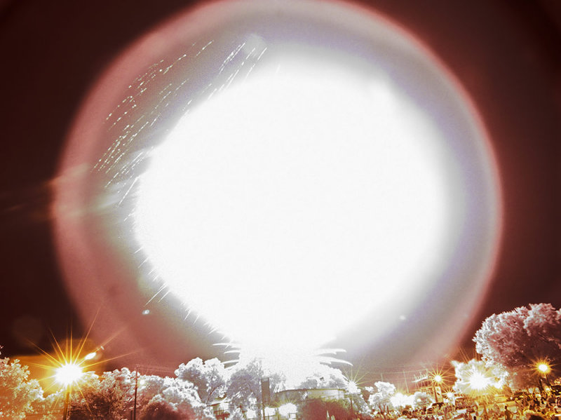 BIG White Firecracker!
