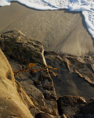 Seaside Forms by JeffryZ