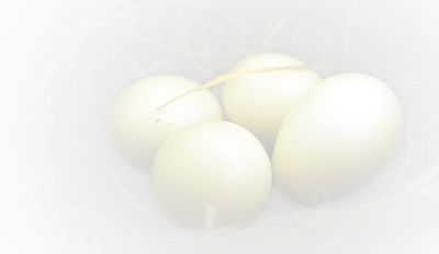 Deb's Eggs White