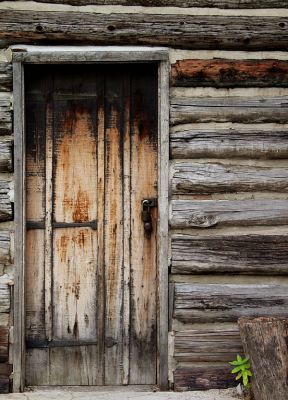 3rd PlaceOld wooden door* by Tajinder